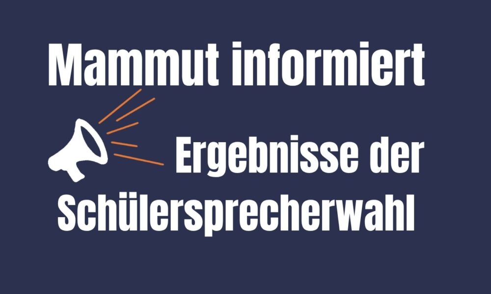 Neue Schülersprecher 25/26 gewählt